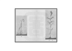 image of artwork listed in title parameter on this page